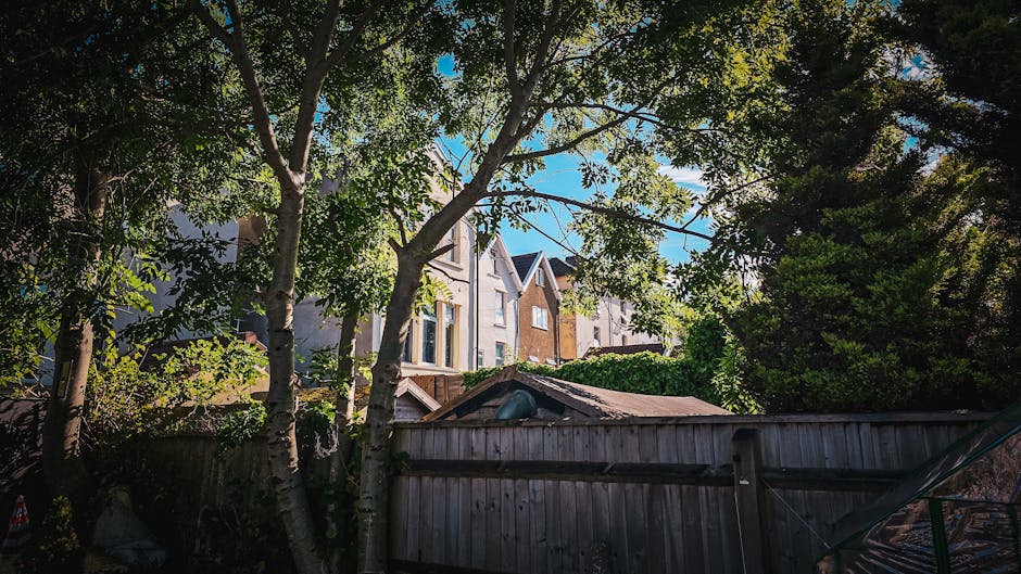 A residential garden scene viewed from behind a weathered wooden fence with visible horizontal planks and a slight tilt, with a corrugated metal roof peeking over the top, possibly covering a shed or small outbuilding. Several large, mature trees with textured, rough bark and green leaves partially obscure the view of multi-storey houses in the background. The houses feature varied brickwork and painted window frames, set against a clear blue sky with scattered bright sunlight filtering through the foliage, casting dappled shadows. The foliage extends across the image, creating a canopy that frames the scene. The presence of mature trees and garden fencing indicates a private outdoor space, potentially associated with a property requiring ongoing garden waste or rubbish clearance, as could be carried out by a local waste collection or private rubbish removal service, such as wastecollectionfinsburypark.co.uk.