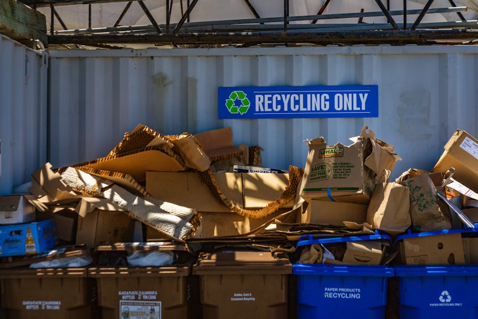 A collection of flattened and crumpled cardboard boxes, brown and light tan in colour with corrugated textures, stacked against a white shipping container wall under a metal framework. The boxes vary in size, some partially collapsed or torn, and are placed atop blue and brown recycling bins designated for paper products. A prominent blue sign with white text reading 'RECYCLING ONLY' and a recyclable symbol is mounted on the container wall above the cardboard collection. The scene appears to be outdoors, with natural daylight casting shadows across the waste materials, which are part of an independent rubbish removal or on-site clearance operation typical for private waste handling services. The overall setting emphasizes the separation of recyclable materials from general waste, aligning with alternative waste management methods such as private rubbish collection services, with visible signs and container organization supporting effective waste segregation.
