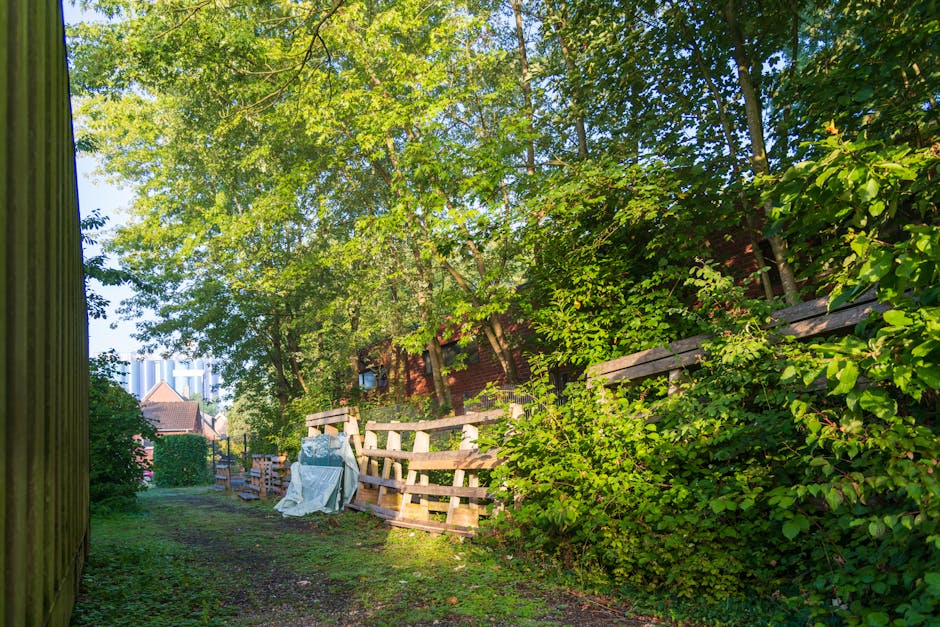 A narrow outdoor pathway bordered by a wooden fence on the right and dense green foliage and trees overhead. The pathway is covered with a mixture of grass and dirt, with some patches of sunlight filtering through the leaves. In the middle distance, there are several wooden pallets stacked against the fence, along with some discarded items covered by a light-colored fabric or tarp. The scene appears to be part of a private garden or back yard, with residential buildings and rooftops visible in the background through the trees. The overall atmosphere suggests an area undergoing clearance or a space used for storage outside a property, relevant to waste management or rubbish removal services offered by companies like wastecollectionfinsburypark.co.uk that handle private disposal or on-site clearance.